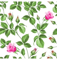 Roses pattern Royalty Free Vector Image - VectorStock
