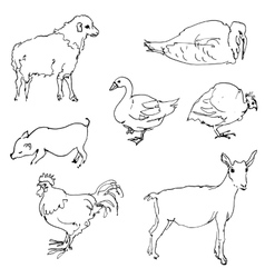 Animal Baby Sketch Vector Images Over 21 000