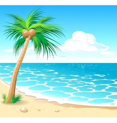 Tropical palm trees Royalty Free Vector Image - VectorStock