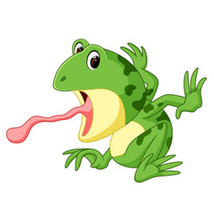 Cute frog cartoon Royalty Free Vector Image - VectorStock