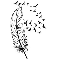 Feather and birds black and white Royalty Free Vector Image