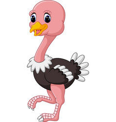 Funny ostrich cartoon Royalty Free Vector Image