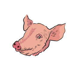 Doodle Pig Royalty Free Vector Image - Vectorstock