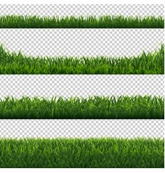 Green grass big borders collection transparent Vector Image