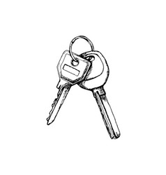 Sketch hand drawn bunch of keys on white Vector Image