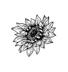 Download Sunflower Stencil Vector Images Over 110