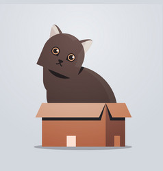 Cartoon Cat Pushing A Box Royalty Free Vector Image