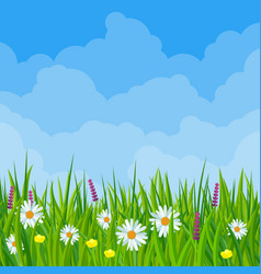 Spring flowers meadow landscape Royalty Free Vector Image