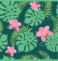 Tropical flowers seamless horizontal border Vector Image