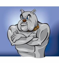 Bulldog attack Royalty Free Vector Image - VectorStock