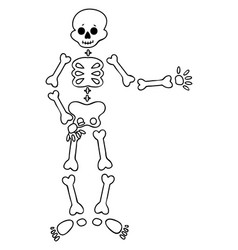 Funny cartoon dancing skeleton cute graphics Vector Image