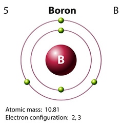 Diagram representation of the element carbon Vector Image