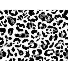 Seamless leopard fur pattern leopard background Vector Image