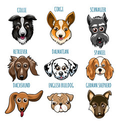 Dog breeds cartoon set Royalty Free Vector Image