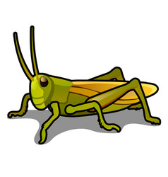 Cartoon grasshopper isolated on white background Vector Image