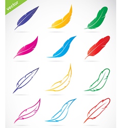 Colorful feathers on white background Royalty Free Vector