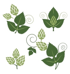 Hops Vector Images (over 36,000)