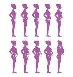 Silhouette pregnant woman Royalty Free Vector Image