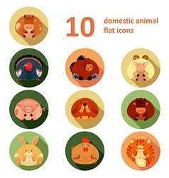 Set of farm animals icons flat style design Vector Image