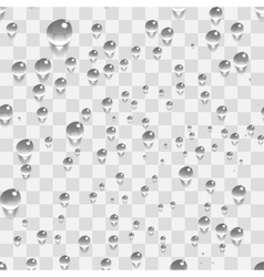 Water Transparent Drops Seamless Pattern Vector Image