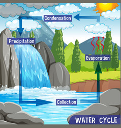 Water cycle earth Royalty Free Vector Image - VectorStock