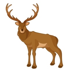 Cute deer cartoon Royalty Free Vector Image - VectorStock