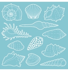 Sea shells icon set Royalty Free Vector Image - VectorStock