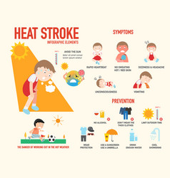 Heat stroke risk sign and symptom and prevention Vector Image