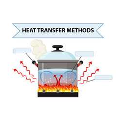 Heat transfer methods worksheet Royalty Free Vector Image