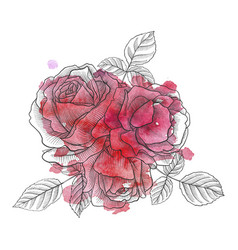 Vintage drawing flower of rose Royalty Free Vector Image