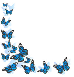 Butterflies summer objects Royalty Free Vector Image