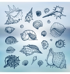 Set of hand drawn ornate seashells Royalty Free Vector Image