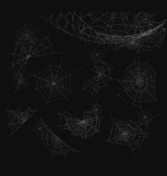 Spider web Royalty Free Vector Image - VectorStock