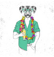 retro hipster animal dog with tropic cocktail vector image