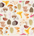 mushrooms edible vegeterian organic mushrooming vector image vector image