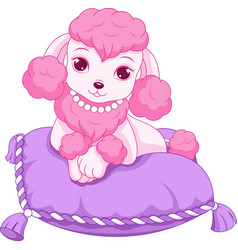 Cute mini poodle Royalty Free Vector Image - VectorStock