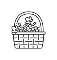 basket of grape isolated icon vector image