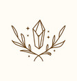bohemian gemstone crystal with floral leaf boho vector image