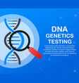 dna testing genetic diagnosis concept genetic vector image vector image