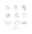 fruit icons in pen line style vector image vector image