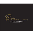 letter bm signature logo template vector image