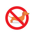 no dog allowed sign vector image