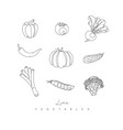 vegetable icons in pen line style vector image vector image