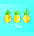 hello summer banner with sweet paper pineapples vector image