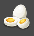 egg whole and two half on gray vector image vector image