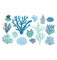 bundle of various corals and seaweed or algae vector image