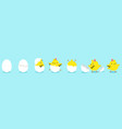 chick hatching process yellow chicken in eggs vector image
