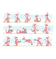 kangaroo australia authentic animals jumping vector image