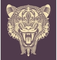 original head tiger drawing with the opened fall vector image