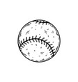 baseball equipment engraving vector image